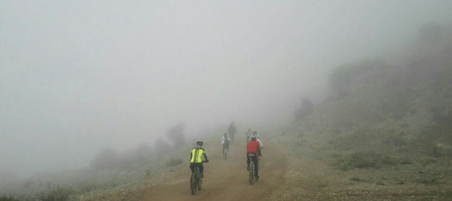 دوچرخه سواری جنگلهای گردنه سر