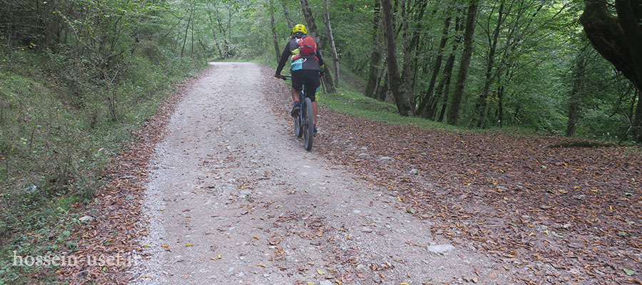 دوچرخه سواری جنگل های نیمور کجور دوچرخه سواری جنگل های نیمور کجور
