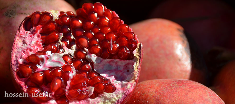 شب یلدا در کویر شب یلدا در کویر