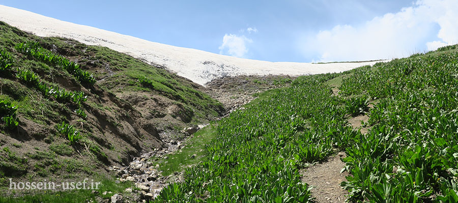 در مسیر صعود قله آتشکوه