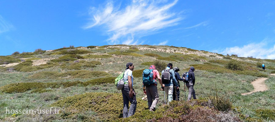 قله ارفه کوه