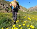 320 zagros trekking