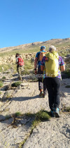 337 zagros trekking