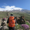 387 damavand