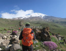 387 damavand