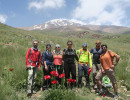 435 damavand