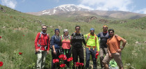 435 damavand
