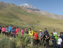 436 damavand ne